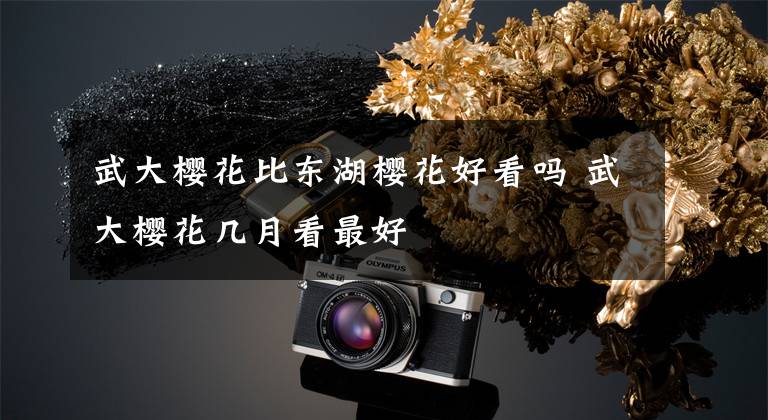 武大樱花比东湖樱花好看吗 武大樱花几月看最好