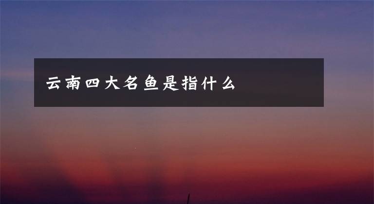 云南四大名鱼是指什么文章配图