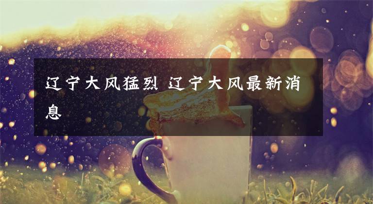 辽宁大风猛烈 辽宁大风最新消息文章配图