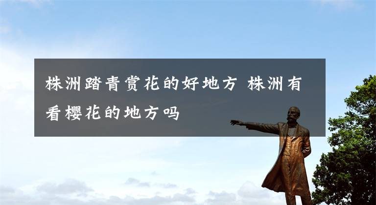 株洲踏青赏花的好地方 株洲有看樱花的地方吗