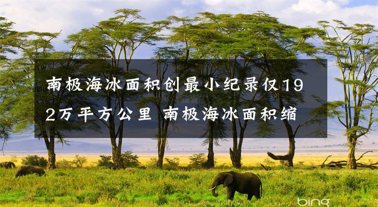 南极海冰面积创最小纪录仅192万平方公里 南极海冰面积缩至历史最低水平文章配图