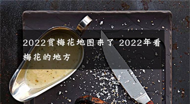 2022赏梅花地图来了 2022年看梅花的地方文章配图