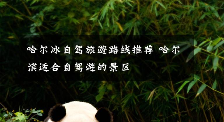 哈尔冰自驾旅游路线推荐 哈尔滨适合自驾游的景区文章配图