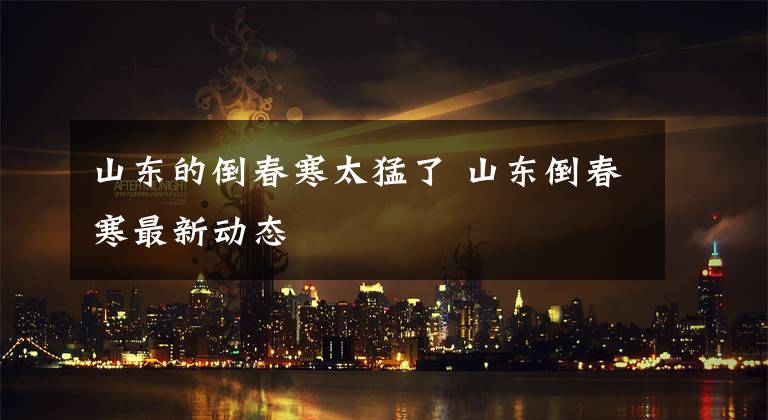 山东的倒春寒太猛了 山东倒春寒最新动态文章配图