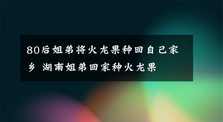 80后姐弟将火龙果种回自己家乡 湖南姐弟回家种火龙果