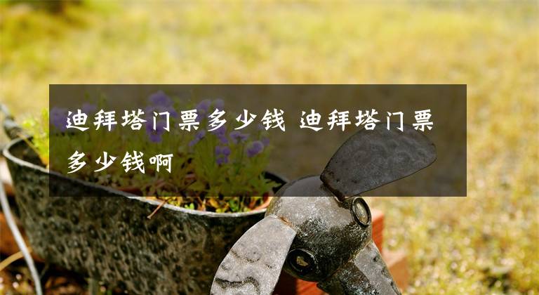 迪拜塔门票多少钱 迪拜塔门票多少钱啊文章配图