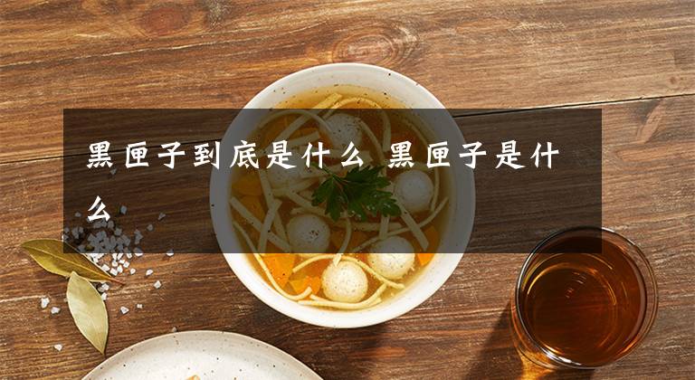 黑匣子到底是什么 黑匣子是什么文章配图