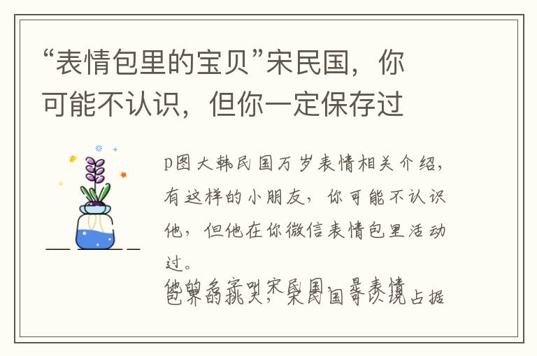 “表情包里的宝贝”宋民国，你可能不认识，但你一定保存过