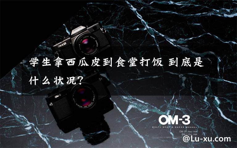 学生拿西瓜皮到食堂打饭 到底是什么状况？文章配图