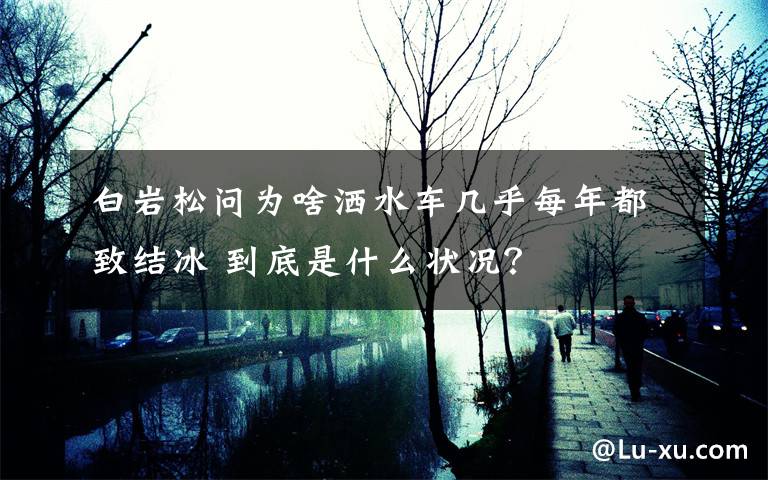 白岩松问为啥洒水车几乎每年都致结冰 到底是什么状况？文章配图