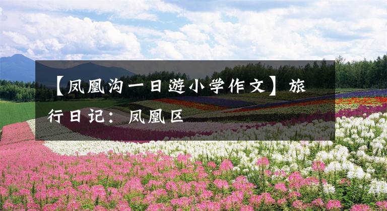 【凤凰沟一日游小学作文】旅行日记：凤凰区文章配图