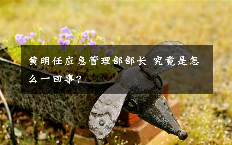 黄明任应急管理部部长 究竟是怎么一回事?