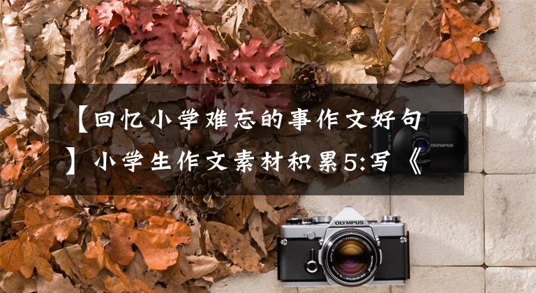 【回忆小学难忘的事作文好句】小学生作文素材积累5:写《读后感鉴赏感》的好词好段落。