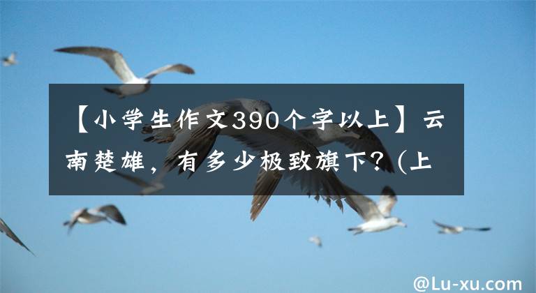 【小学生作文390个字以上】云南楚雄，有多少极致旗下？(上图)