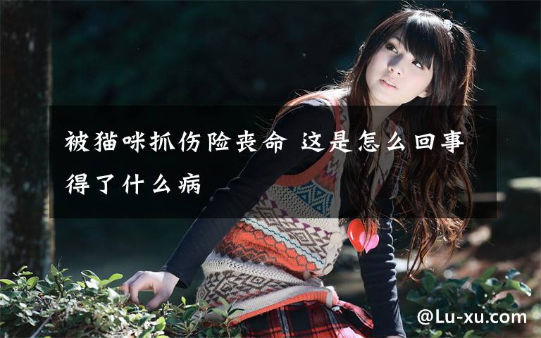 被猫咪抓伤险丧命 这是怎么回事得了什么病