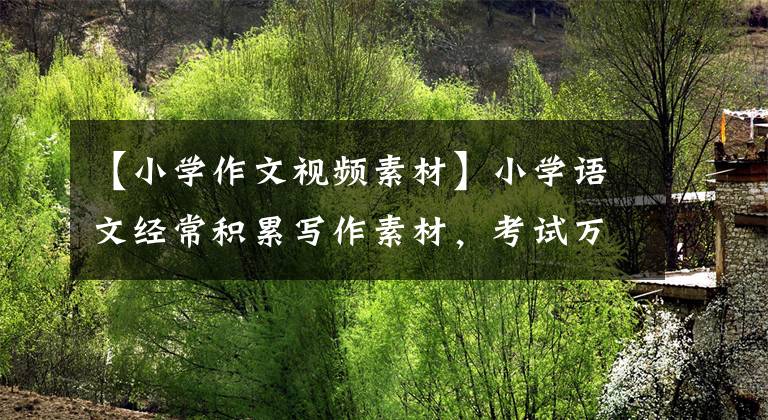 【小学作文视频素材】小学语文经常积累写作素材，考试万能模板太实用了文章配图