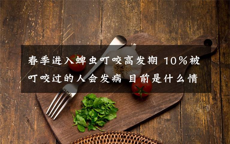 春季进入蜱虫叮咬高发期 10％被叮咬过的人会发病 目前是什么情况？