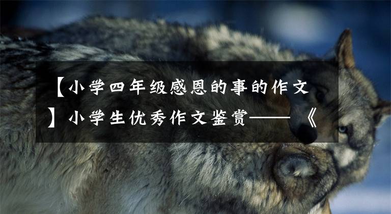 【小学四年级感恩的事的作文】小学生优秀作文鉴赏—— 《感谢您，妈妈》文章配图