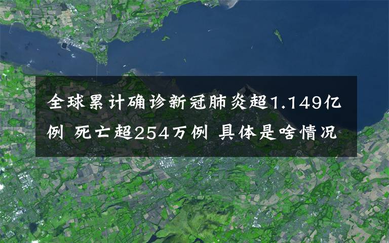 全球累计确诊新冠肺炎超1.149亿例 死亡超254万例 具体是啥情况?