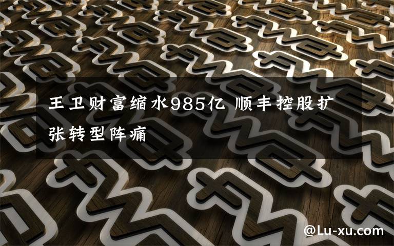 王卫财富缩水985亿 顺丰控股扩张转型阵痛