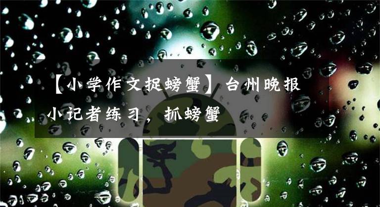 【小学作文捉螃蟹】台州晚报小记者练习，抓螃蟹文章配图