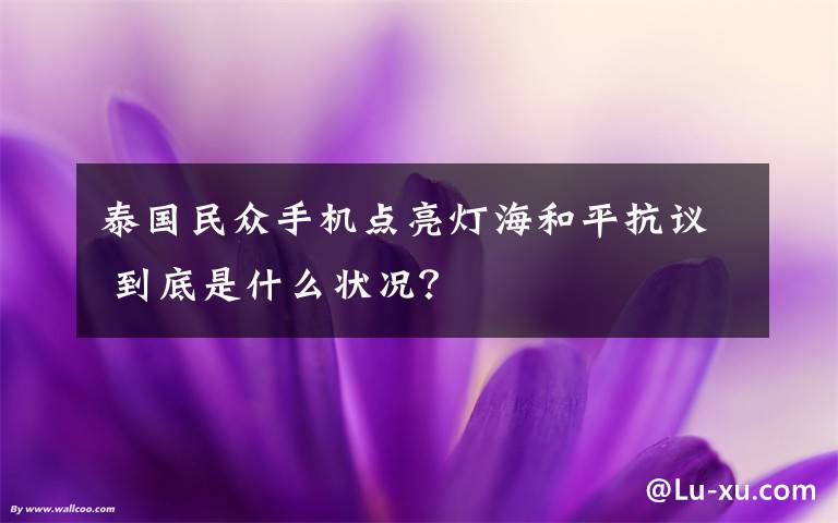 泰国民众手机点亮灯海和平抗议 到底是什么状况？