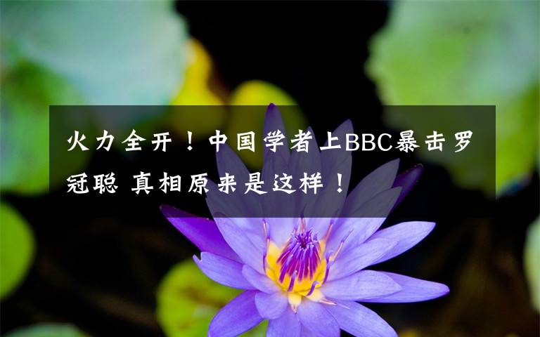 火力全开！中国学者上BBC暴击罗冠聪 真相原来是这样！