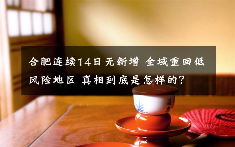 合肥连续14日无新增 全域重回低风险地区 真相到底是怎样的？文章配图