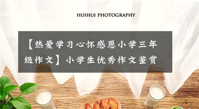 【热爱学习心怀感恩小学三年级作文】小学生优秀作文鉴赏—— 《感恩》文章配图