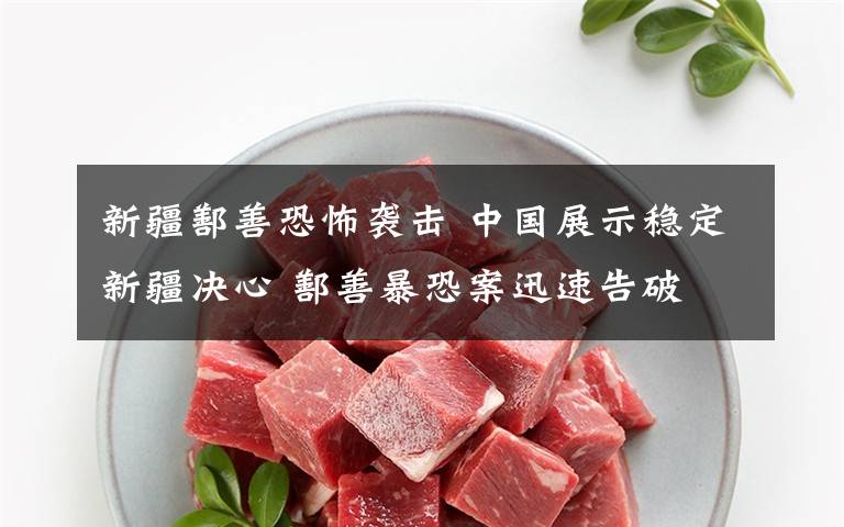 新疆鄯善恐怖袭击 中国展示稳定新疆决心 鄯善暴恐案迅速告破文章配图