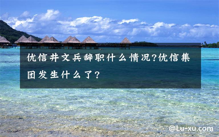 优信井文兵辞职什么情况?优信集团发生什么了?