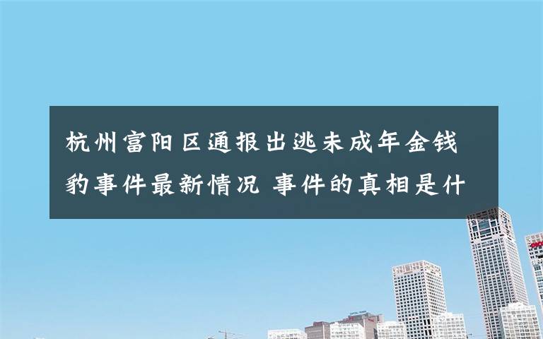 杭州富阳区通报出逃未成年金钱豹事件最新情况 事件的真相是什么？