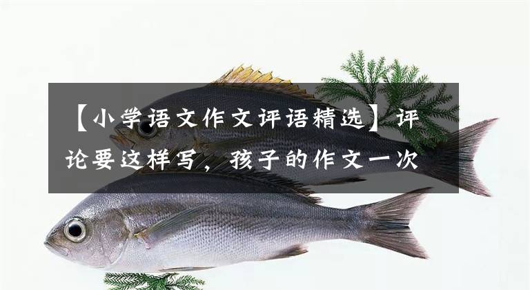 【小学语文作文评语精选】评论要这样写，孩子的作文一次比一次好文章配图