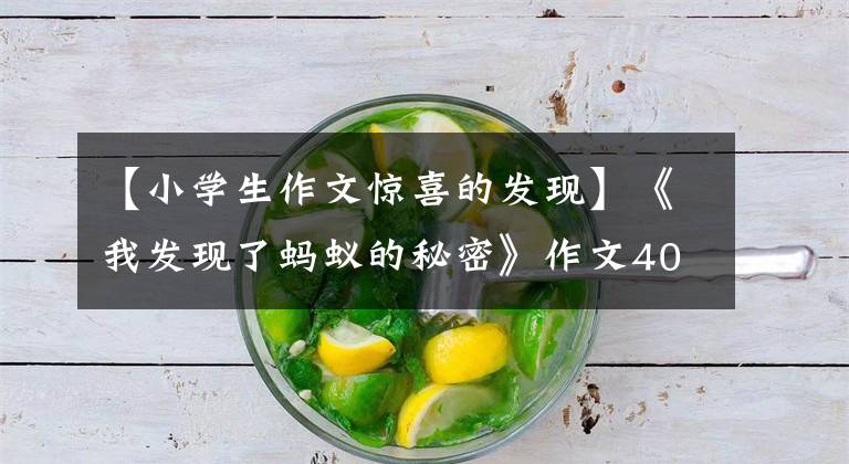【小学生作文惊喜的发现】《我发现了蚂蚁的秘密》作文400字，我发现了什么作文？文章配图
