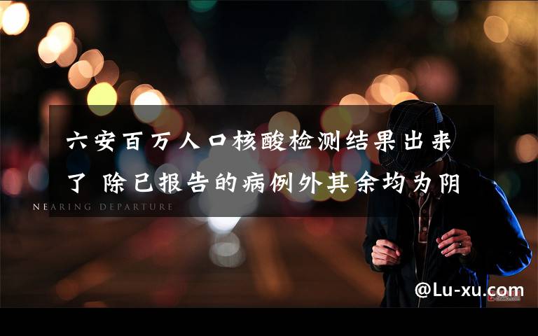 六安百万人口核酸检测结果出来了 除已报告的病例外其余均为阴性 事件详细经过！文章配图