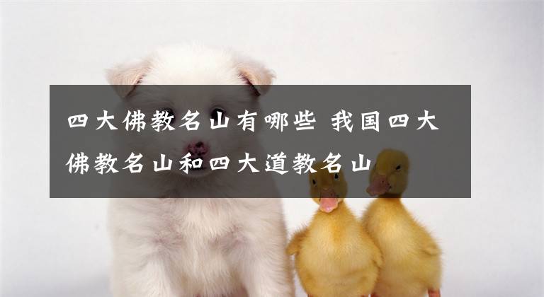 四大佛教名山有哪些 我国四大佛教名山和四大道教名山文章配图