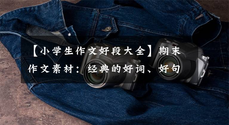 【小学生作文好段大全】期末作文素材：经典的好词、好句子、好段落亮点(为孩子们收藏)文章配图