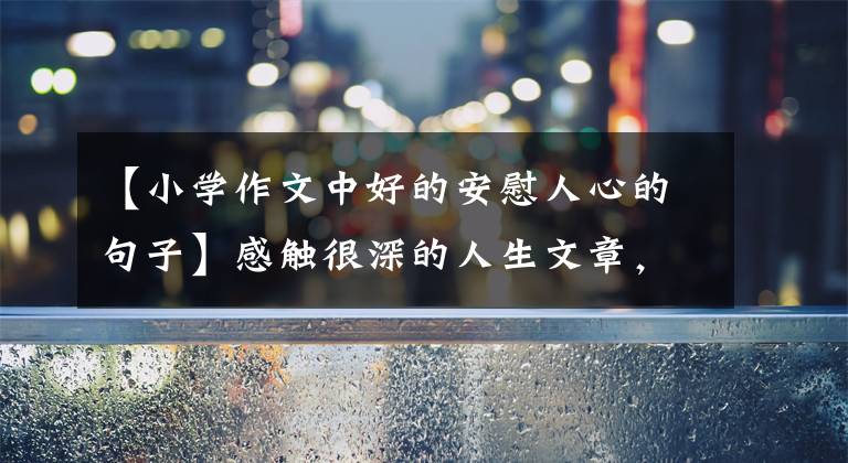【小学作文中好的安慰人心的句子】感触很深的人生文章，不管世界上有多少冷幕，请总是温暖心灵。(大卫亚设)。文章配图