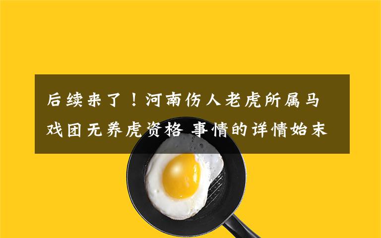 后续来了！河南伤人老虎所属马戏团无养虎资格 事情的详情始末是怎么样了！