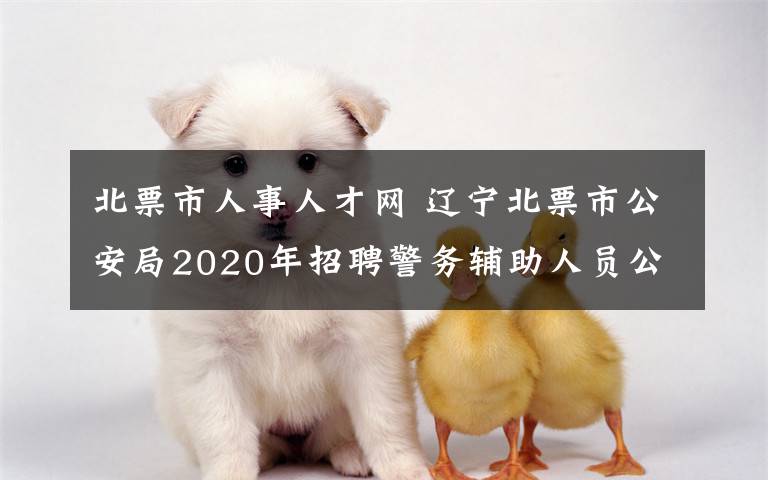 北票市人事人才网 辽宁北票市公安局2020年招聘警务辅助人员公告