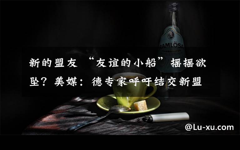 新的盟友 “友谊的小船”摇摇欲坠？美媒：德专家呼吁结交新盟友文章配图
