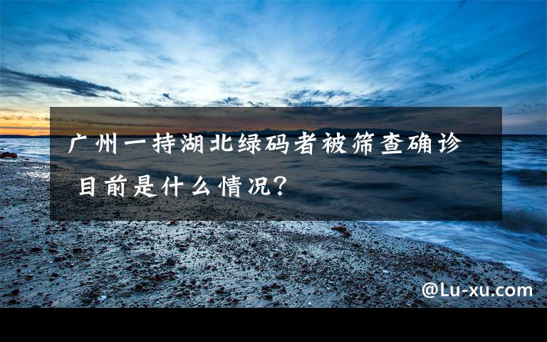 广州一持湖北绿码者被筛查确诊 目前是什么情况？