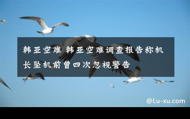 韩亚空难 韩亚空难调查报告称机长坠机前曾四次忽视警告文章配图