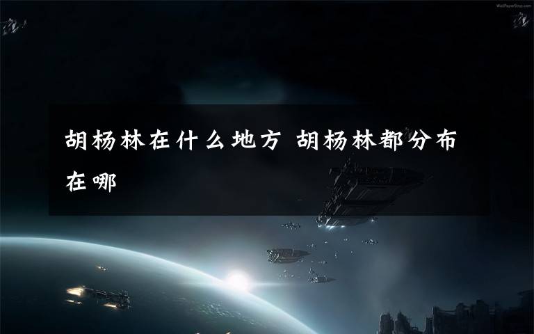 胡杨林在什么地方 胡杨林都分布在哪文章配图