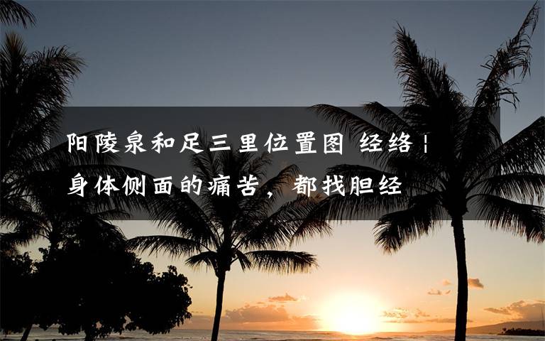阳陵泉和足三里位置图 经络 | 身体侧面的痛苦，都找胆经文章配图