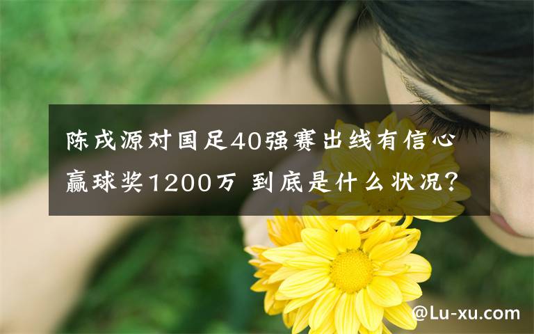 陈戌源对国足40强赛出线有信心赢球奖1200万 到底是什么状况？