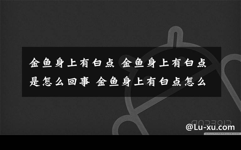 金鱼身上有白点 金鱼身上有白点是怎么回事 金鱼身上有白点怎么治？