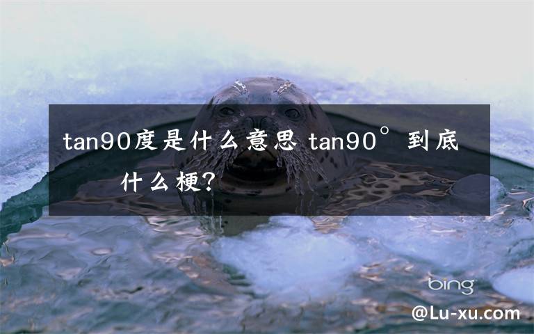 tan90度是什么意思 tan90°到底是什么梗？
