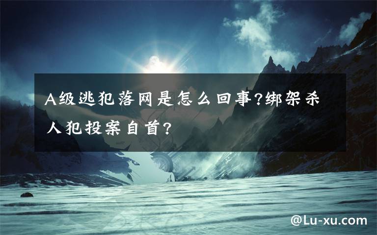 A级逃犯落网是怎么回事?绑架杀人犯投案自首?