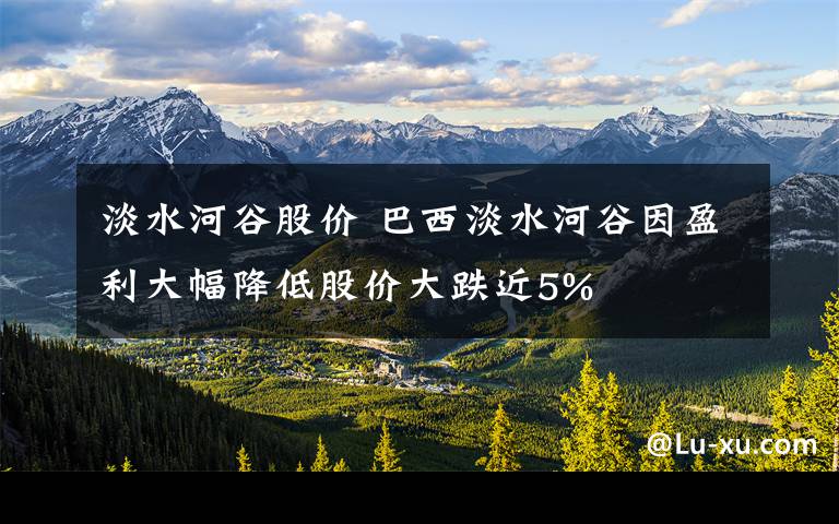 淡水河谷股价 巴西淡水河谷因盈利大幅降低股价大跌近5%文章配图